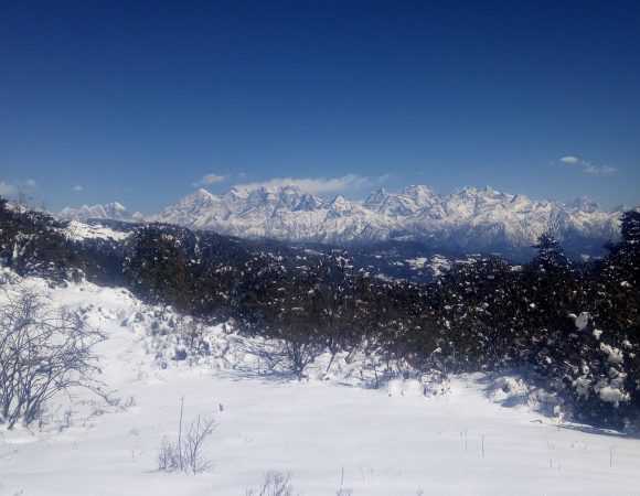 Pikey Peak Trek