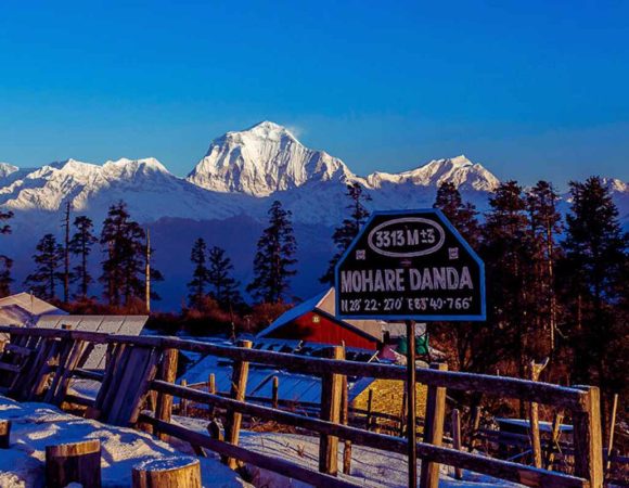 Mohare Danda Trek