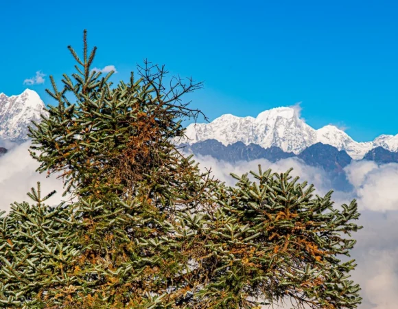 Helambu Trek