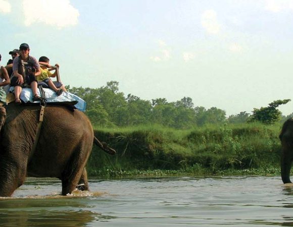 Koshi Tappu wildlife safari